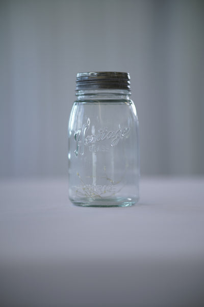 Mason Jar with 20 Fairy Lights