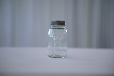 Mason Jar with 20 Fairy Lights