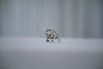 Snowflake Napkin Ring