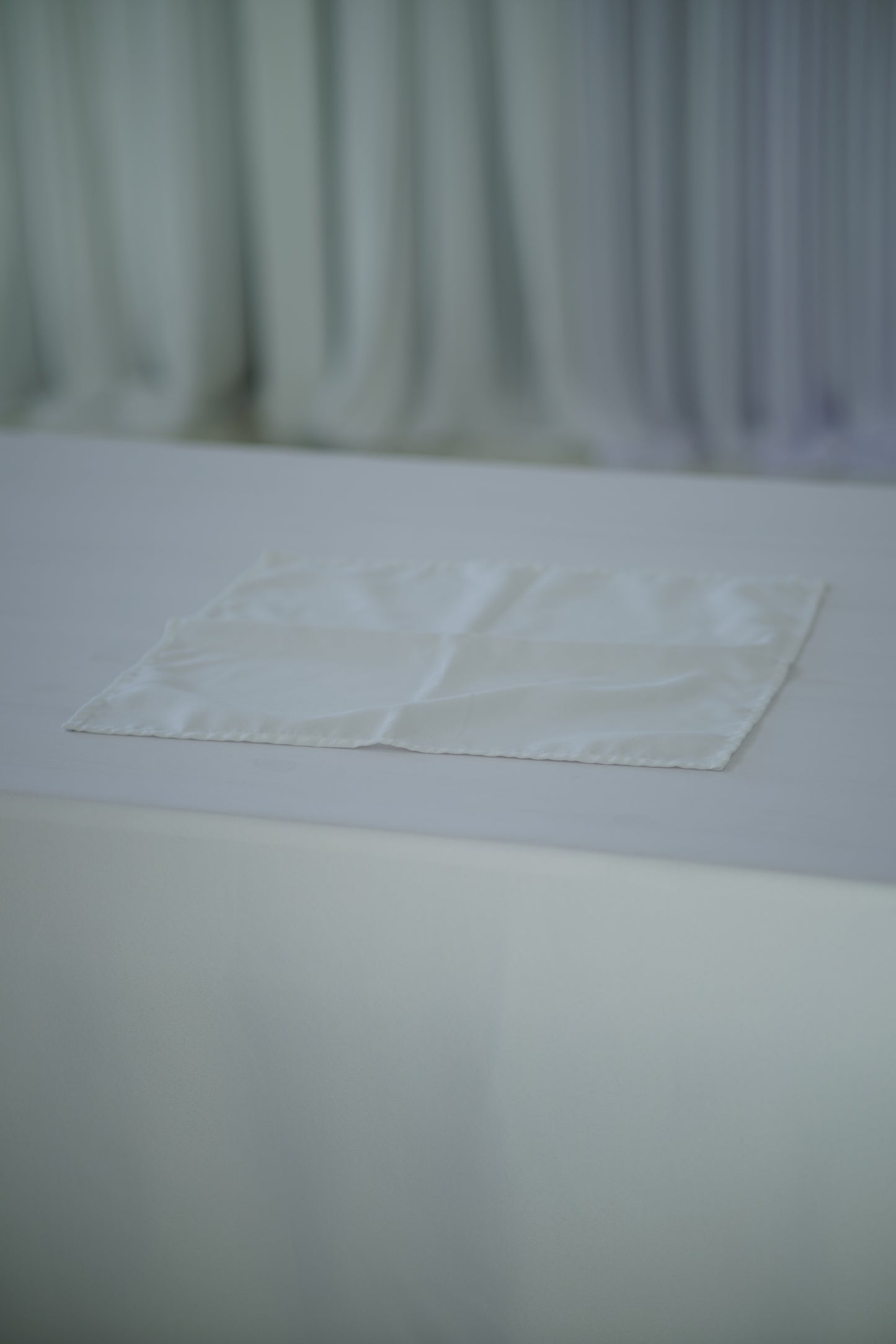White Cloth Napkin