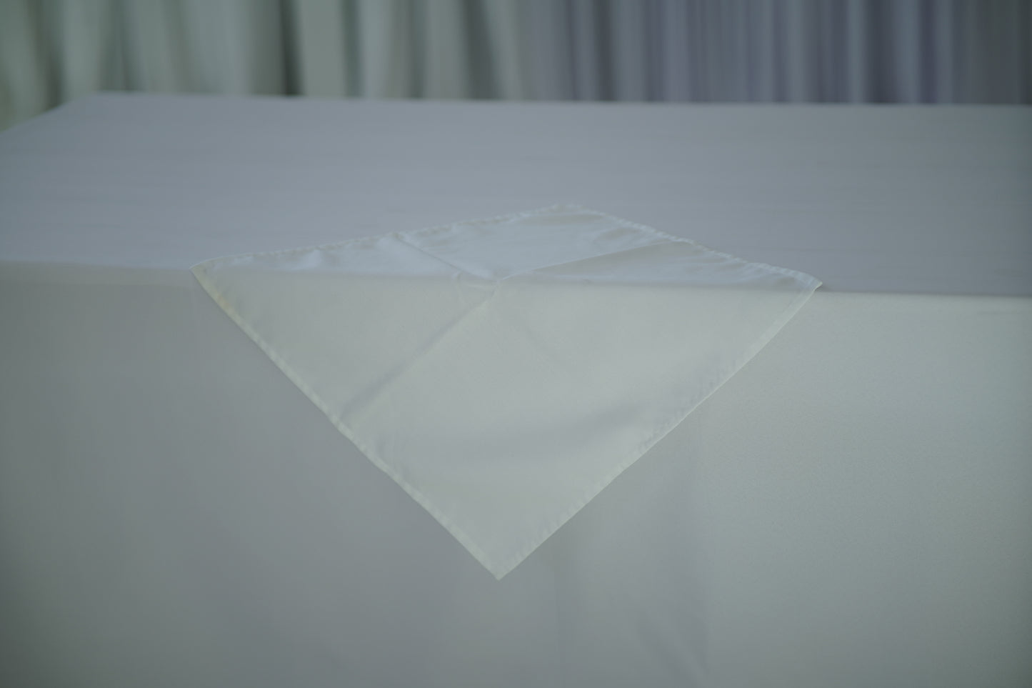 White Cloth Napkin